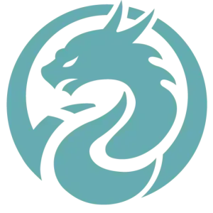 Vision Chinese
