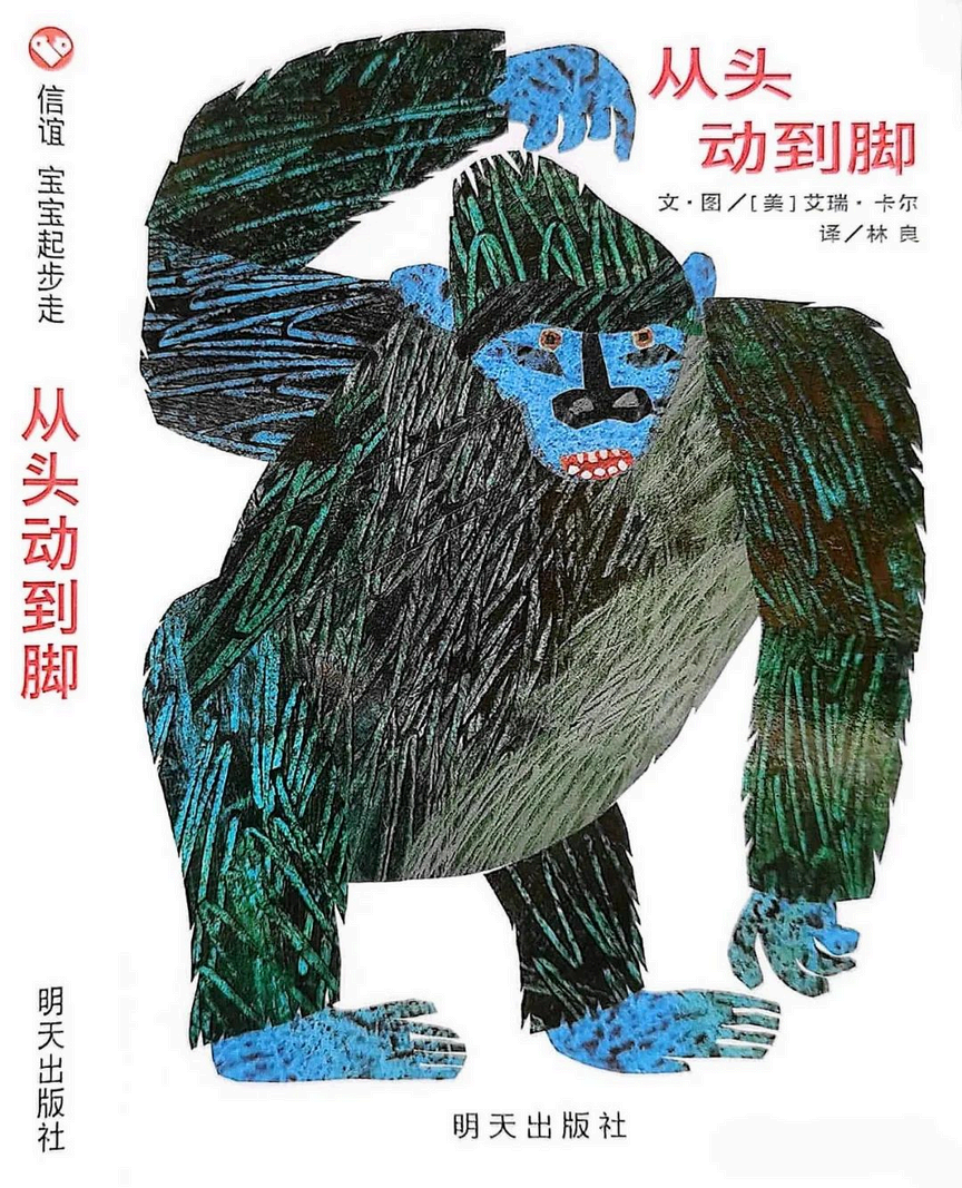 从头到脚 封面