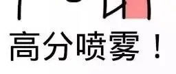 文心书院 Vision Chinese Academy - 0-e3ceb774