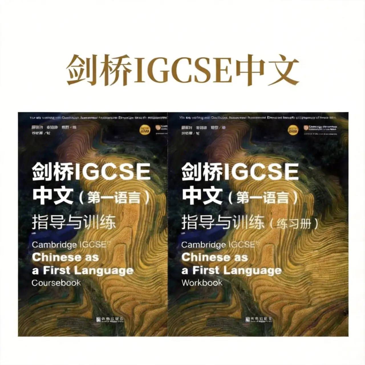 IGCSE 中文