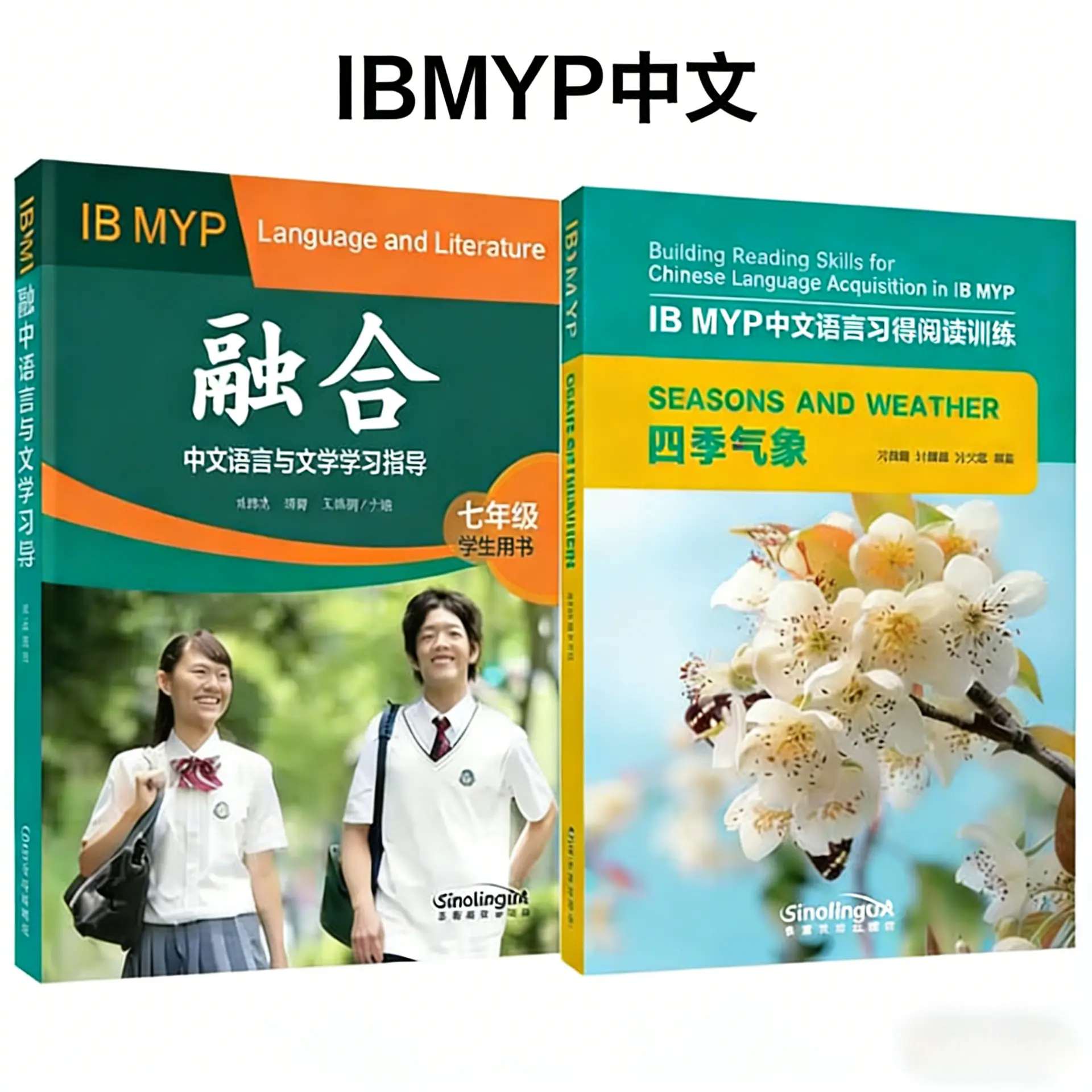 IBMYP 中文